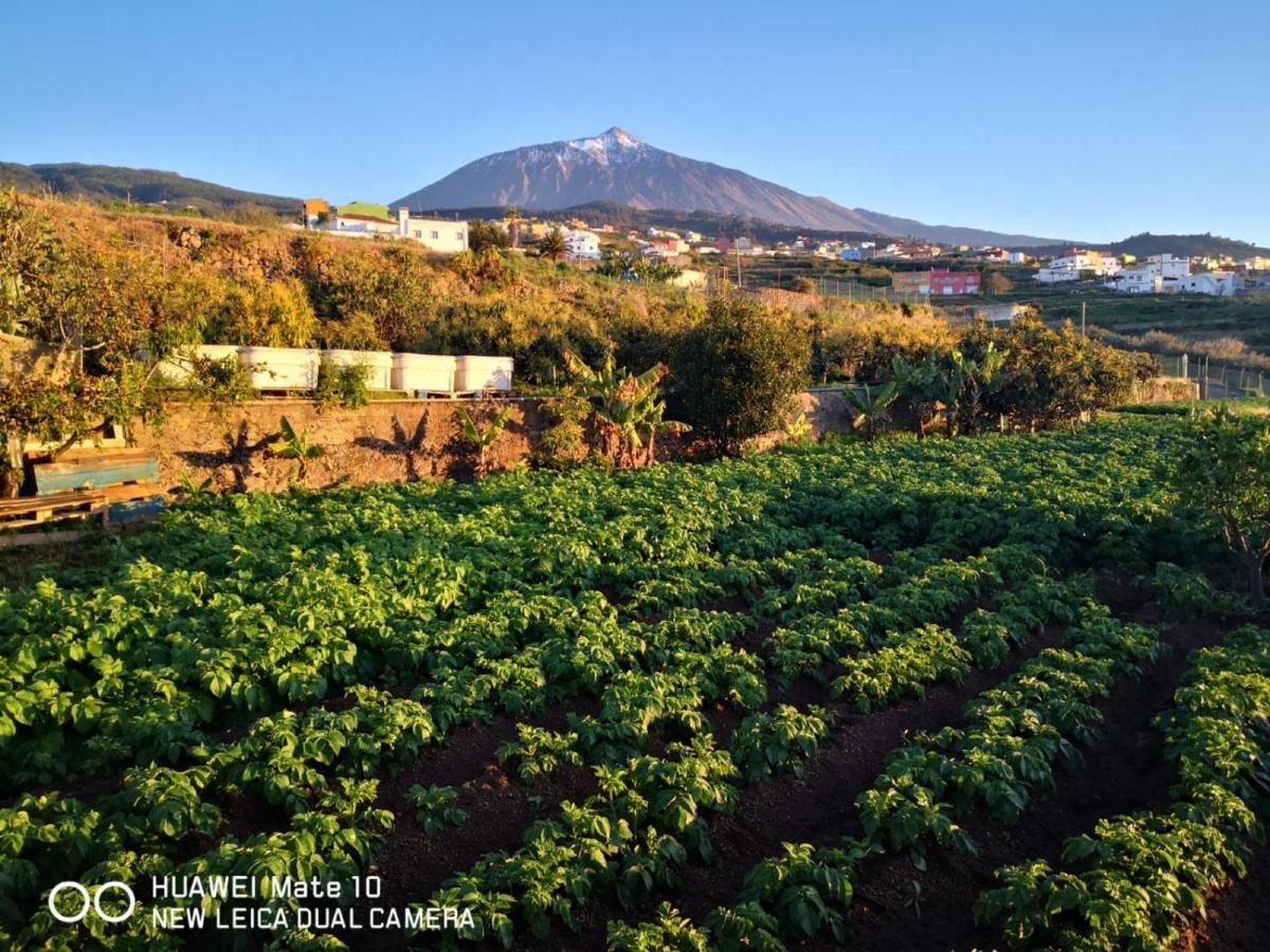 San Juan de la Rambla Finca Los Angeles מראה חיצוני תמונה