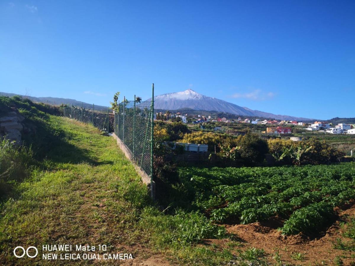 San Juan de la Rambla Finca Los Angeles מראה חיצוני תמונה